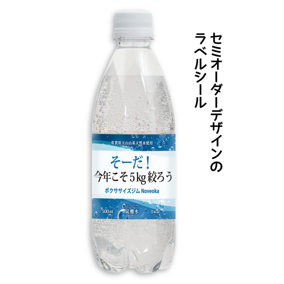 セミオーダー 炭酸水（天然水仕込み）決意のソーダ