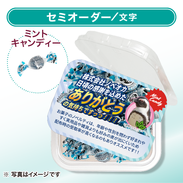 ミントキャンディ おやつカップ セミオーダー グラデーション（文字のみ）ヨコ向き