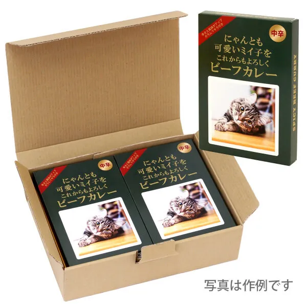 オリジナル パッケージ カレー（ビーフ6個入り）ギフト箱セット