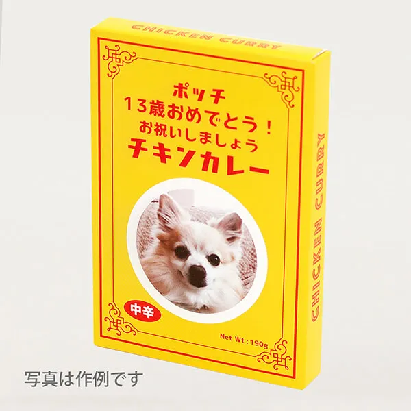 オリジナル パッケージ カレー（チキン）