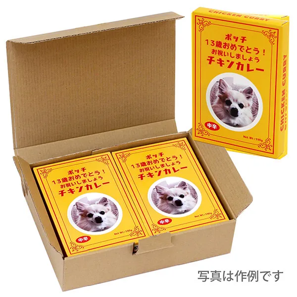 チキンカレー ギフトボックス
