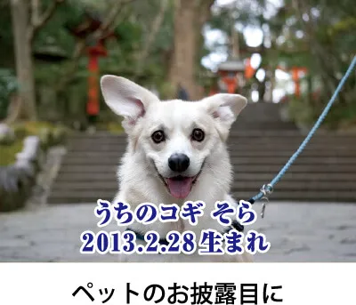 オリジナル くすり瓶（ブドウ糖90%ラムネ入り） 作成例