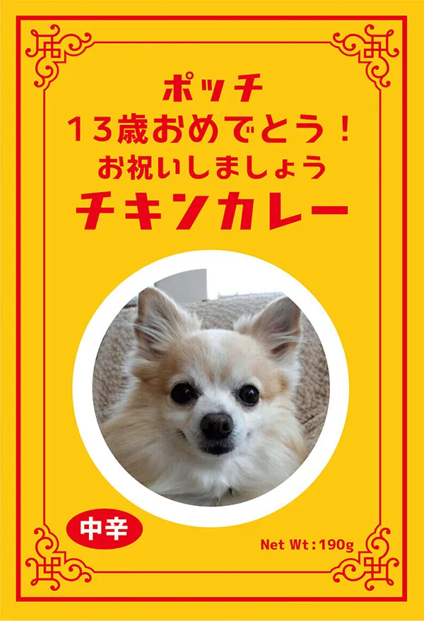 オリジナル カレー（チキン）例：ペットのお披露目に