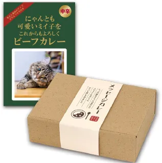 オリジナル ビーフカレー6個セットギフト箱入り