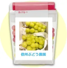 作例写真：観光施設の宣伝に