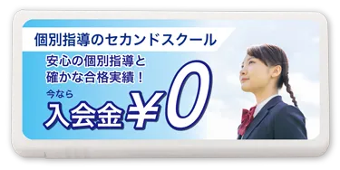 マイ ミントタブレット オリジナル サンプル写真