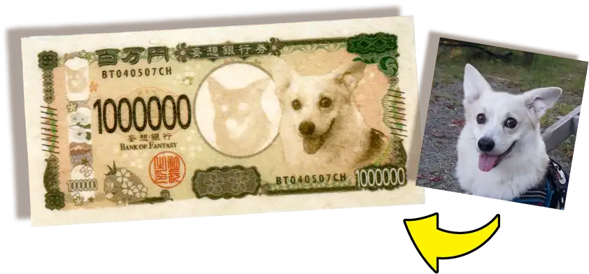 かわいいペットの写真で！